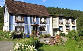 Haus Grüne Insel - Ferienwohnungen