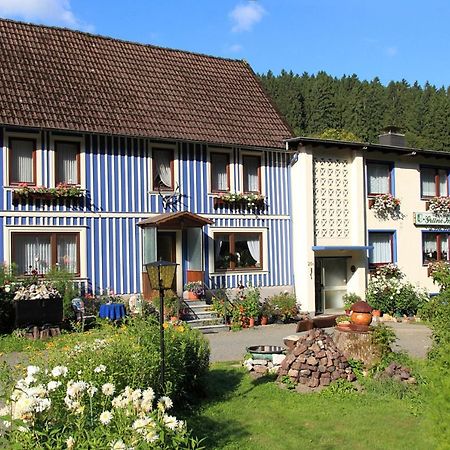Haus Grüne Insel - Ferienwohnungen Altenau  Exterior foto