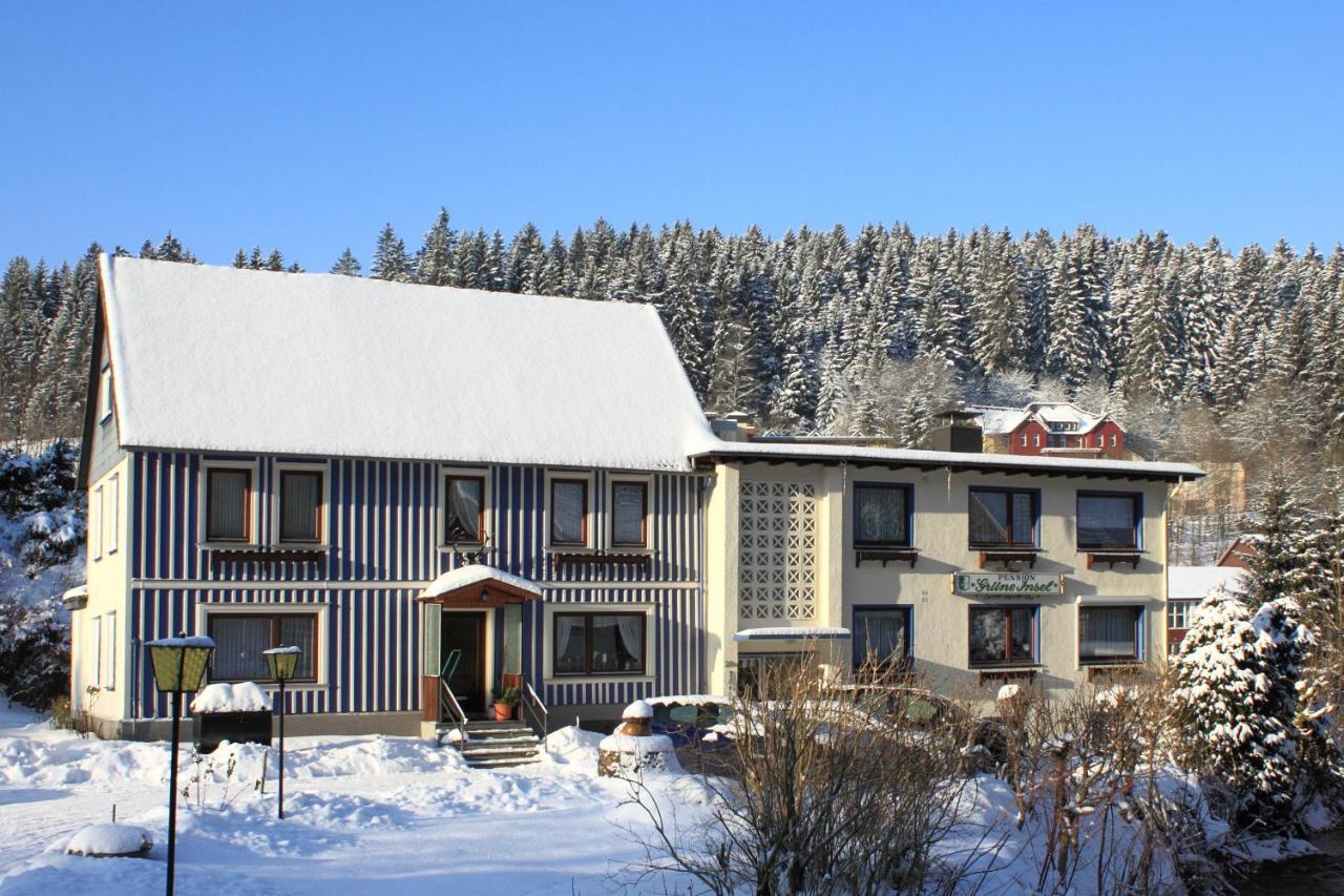 Haus Grüne Insel - Ferienwohnungen Altenau  Exterior foto