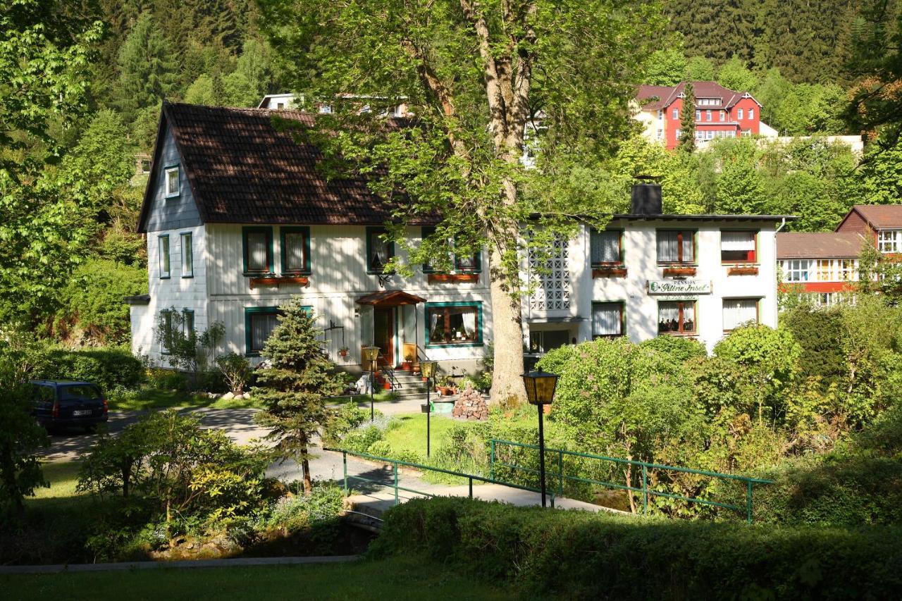 Haus Grüne Insel - Ferienwohnungen Altenau  Exterior foto