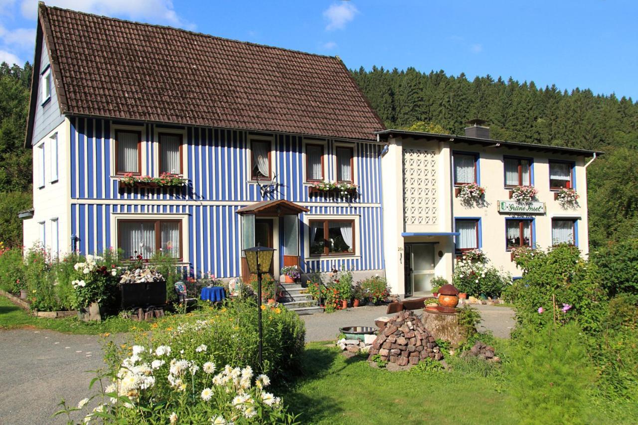 Haus Grüne Insel - Ferienwohnungen Altenau  Exterior foto