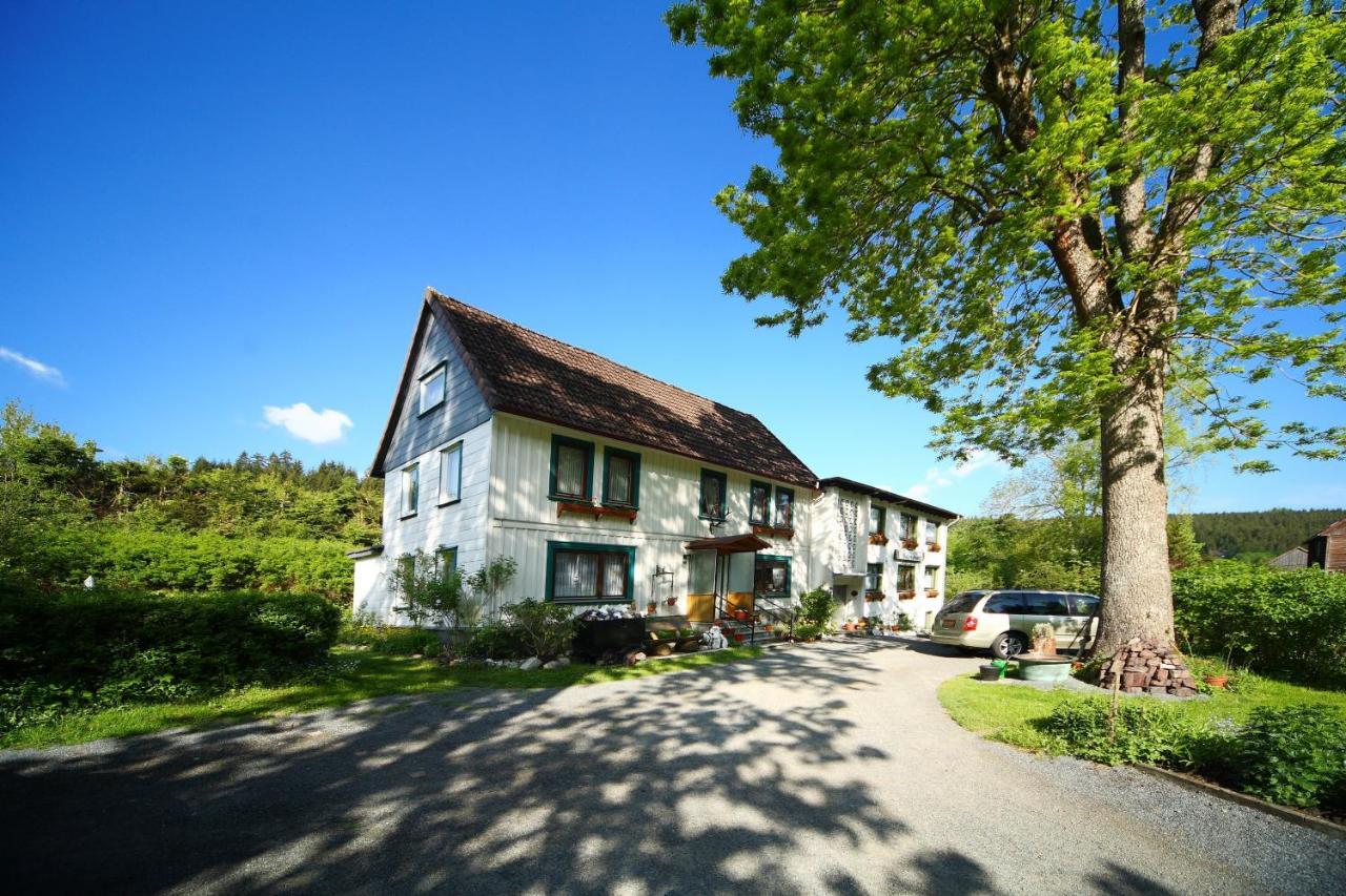 Haus Grüne Insel - Ferienwohnungen Altenau  Exterior foto